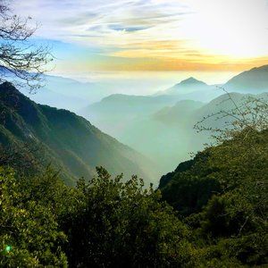 Meet your Posher, Maja